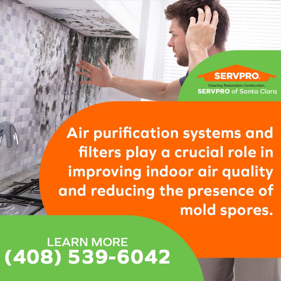 Person avoiding mold in kitchen while SERVPRO of Santa Clara explains air purification systems improve indoor air quality.