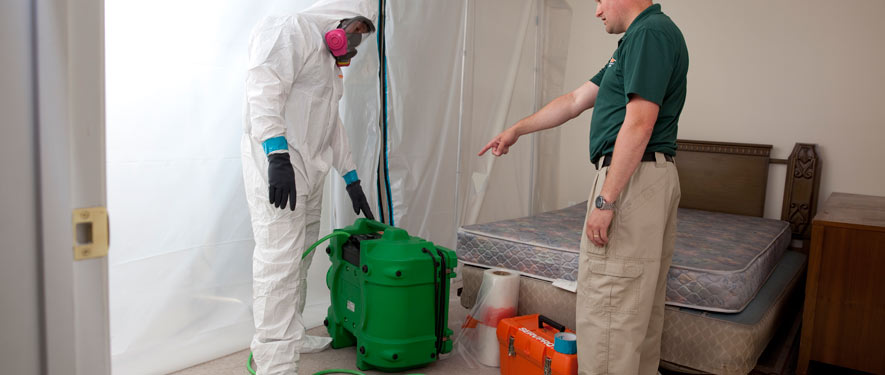 Santa Clara, CA mold removal process